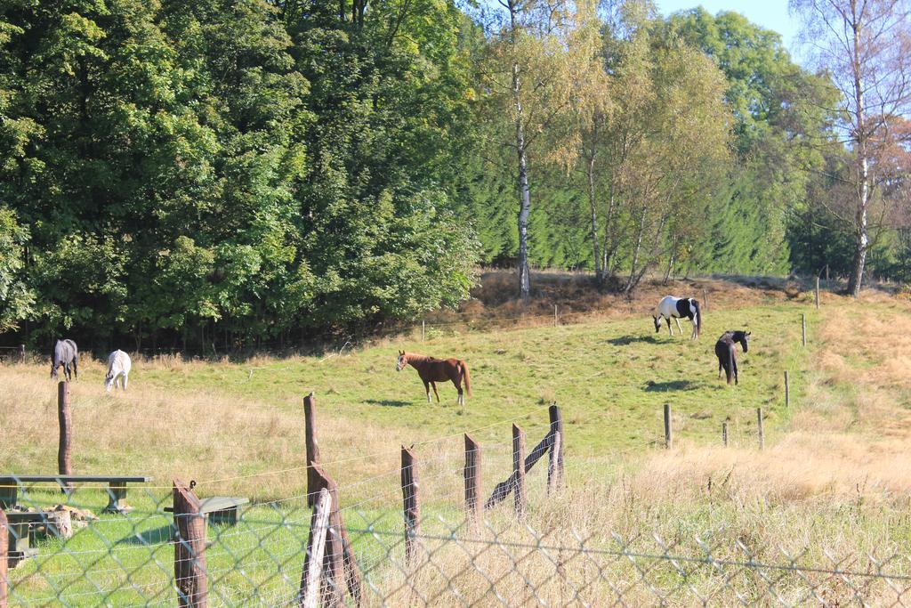 Słoneczna Zagroda - Sunny Ridge Farm Laczna  Zewnętrze zdjęcie