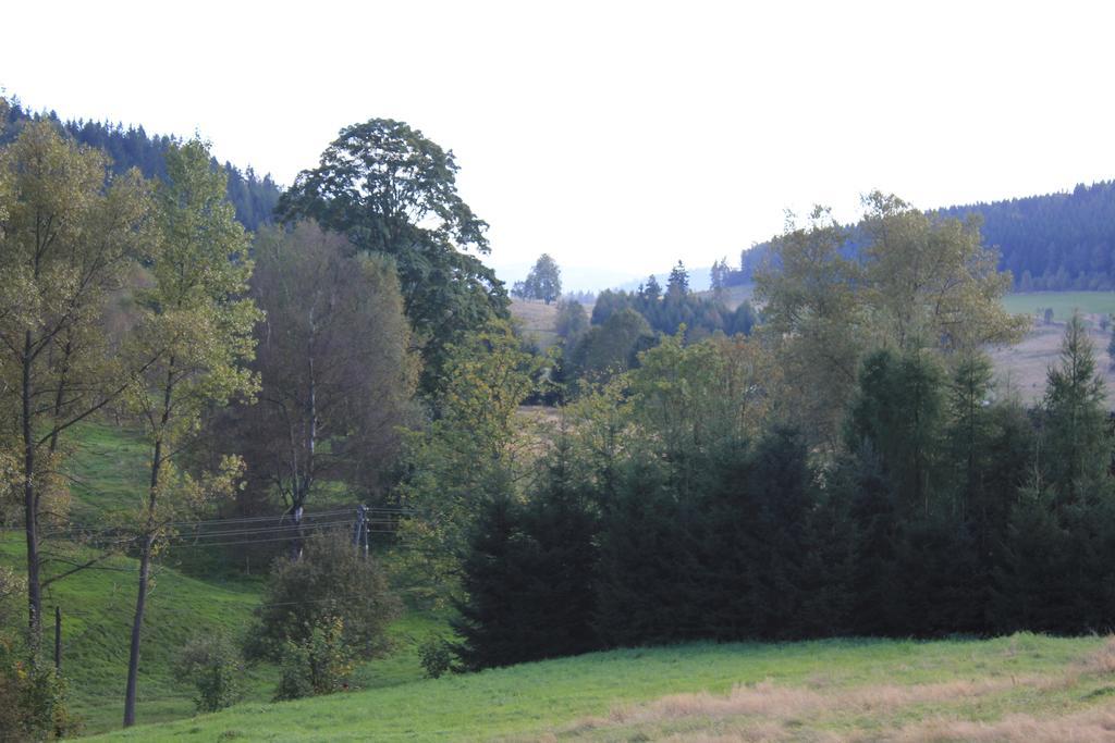 Słoneczna Zagroda - Sunny Ridge Farm Laczna  Zewnętrze zdjęcie